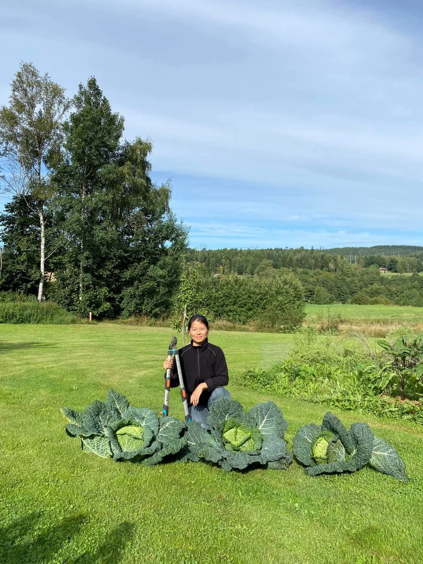 Yanhong på Älvbacken B&B – gröna fingrar, blomstrande trädgård och passion för äkta kinesisk matlagning